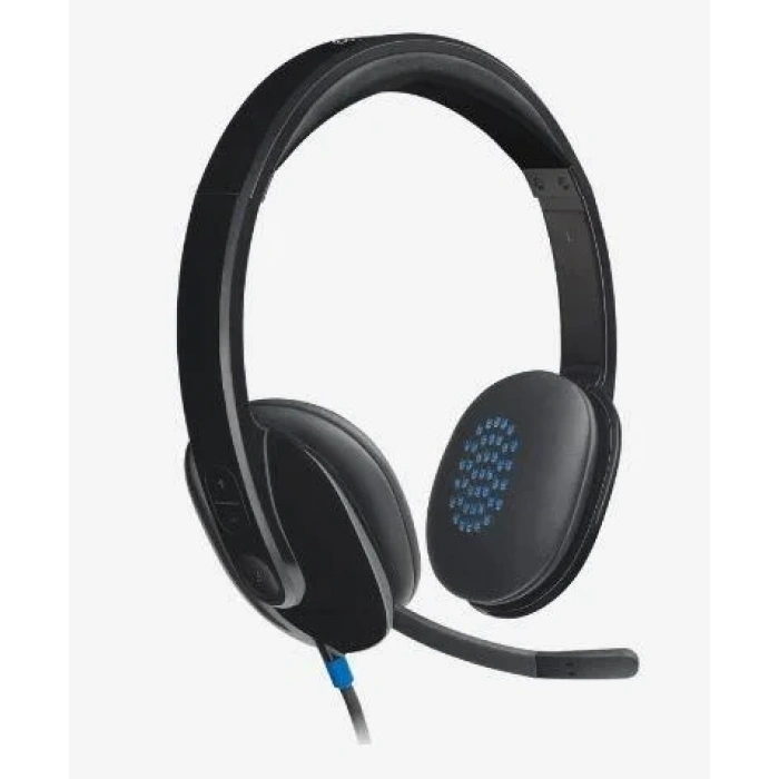 USLUCAN ALIŞVERİŞ LOGITECH H540 USB SİYAH KULAKLIK 981-000480