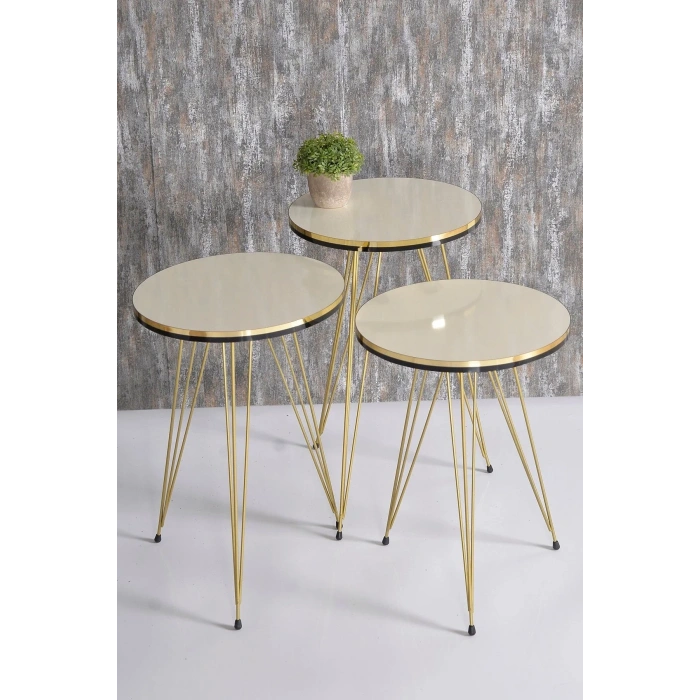 USLUCAN ALIŞVERİŞ Orta Sehpa Elips Siyah Tel Ayak Çift Altın Efes