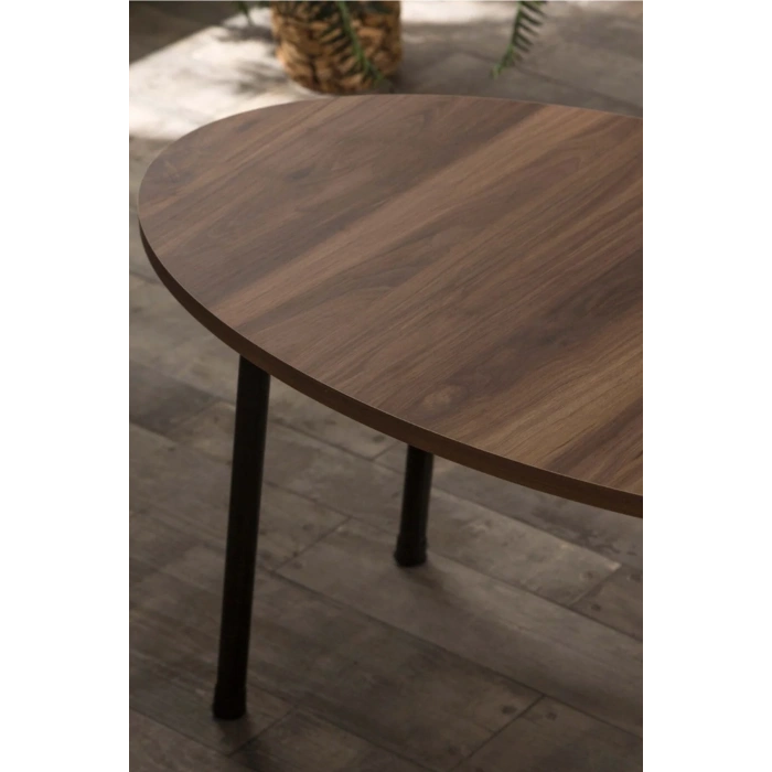 USLUCAN ALIŞVERİŞ Orta Sehpa Metal  Ayak Elips Ceviz