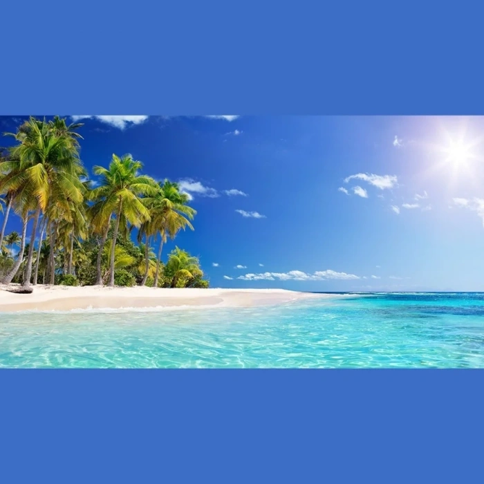 USLUCAN ALIŞVERİŞ Palmiye Ağaçlı Ada Tablosu, Canvas Tablo 60x120