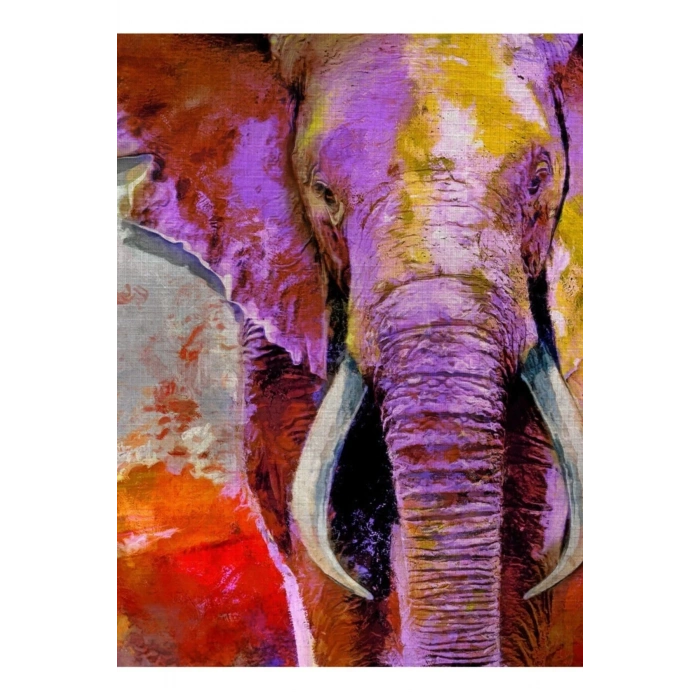 USLUCAN ALIŞVERİŞ Safari Canvas Tablo (50x70)