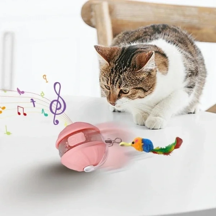 USLUCAN ALIŞVERİŞ Şarjlı Hareketli Kedi Topu Oyuncak