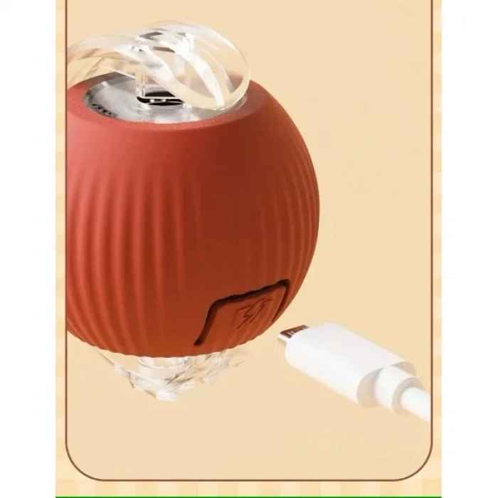 USLUCAN ALIŞVERİŞ Şarjlı Kedi Oyuncağı