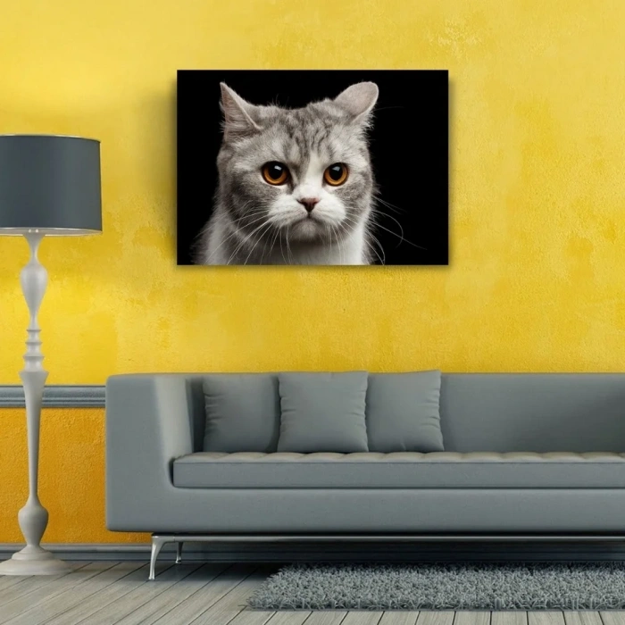USLUCAN ALIŞVERİŞ Şirin Gri Kedi Kanvas Tablo 50 x 70