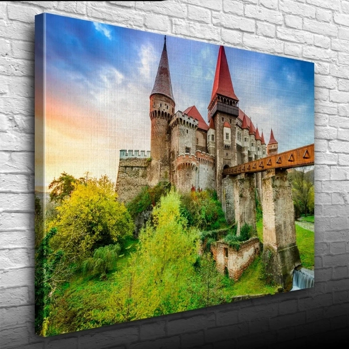 USLUCAN ALIŞVERİŞ Tarihi Şato Kanvas Tablo 50 x 70