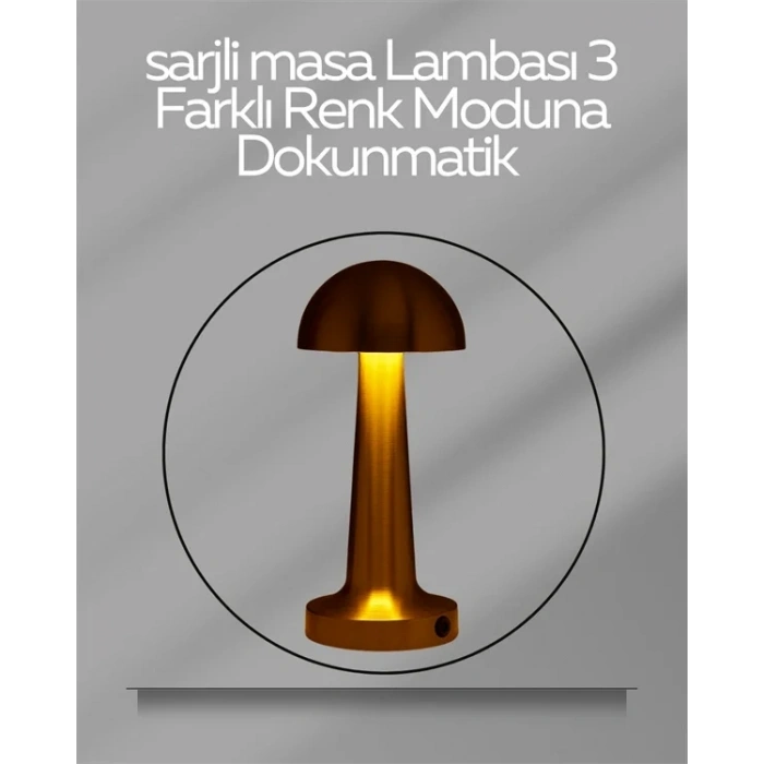 USLUCAN ALIŞVERİŞ USB Şarjlı Dokunmatik LED Masa Lambası – 3 Renk Modu & Dimmer