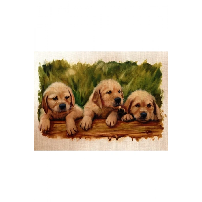 USLUCAN ALIŞVERİŞ Yavru Köpekler Canvas Tablo (50x70)