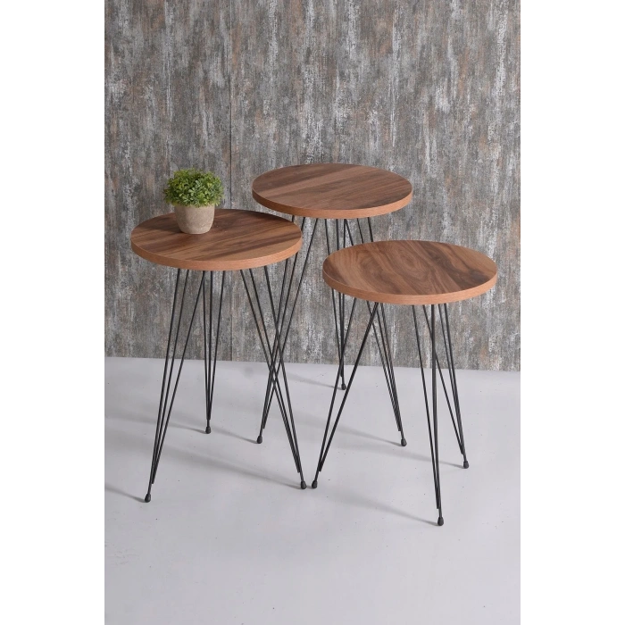 USLUCAN ALIŞVERİŞ Zigon Sehpa 3 Lü Krem Tel Ayak