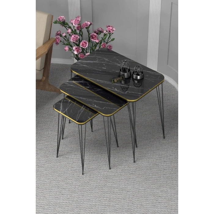 USLUCAN ALIŞVERİŞ Zigon Sehpa Kr Çift Bendir Tel Siyah Ayak