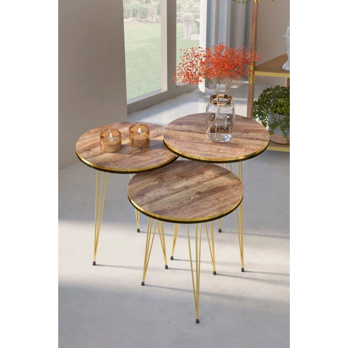 USLUCAN ALIŞVERİŞ Zigon Sehpa Ve Orta Sehpa Elips Set Çift Gold Ceviz Tel