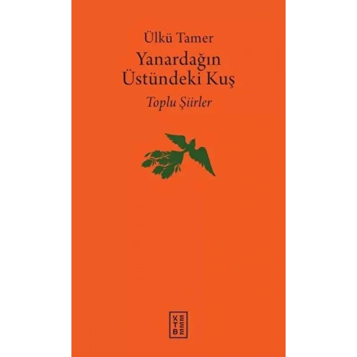 Yanardağın Üstündeki Kuş