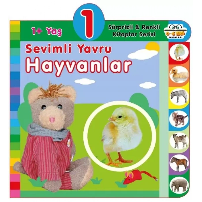 Yaş Sevimli Yru Hayvanlar (1+Yaş)
