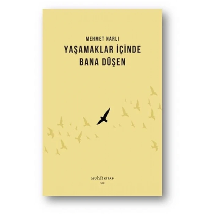 Yaşamaklar İçinde Bana Düşen