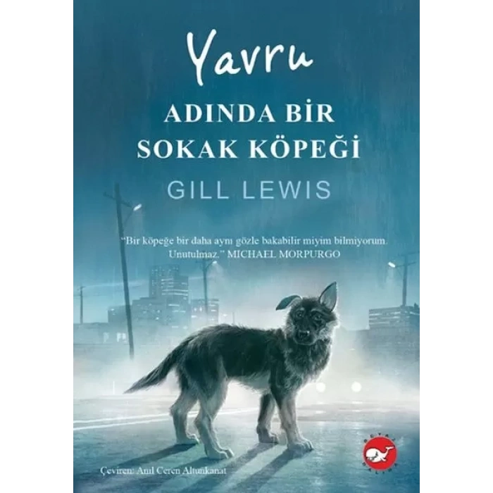 Yru Adında Bir Sokak Köpeği