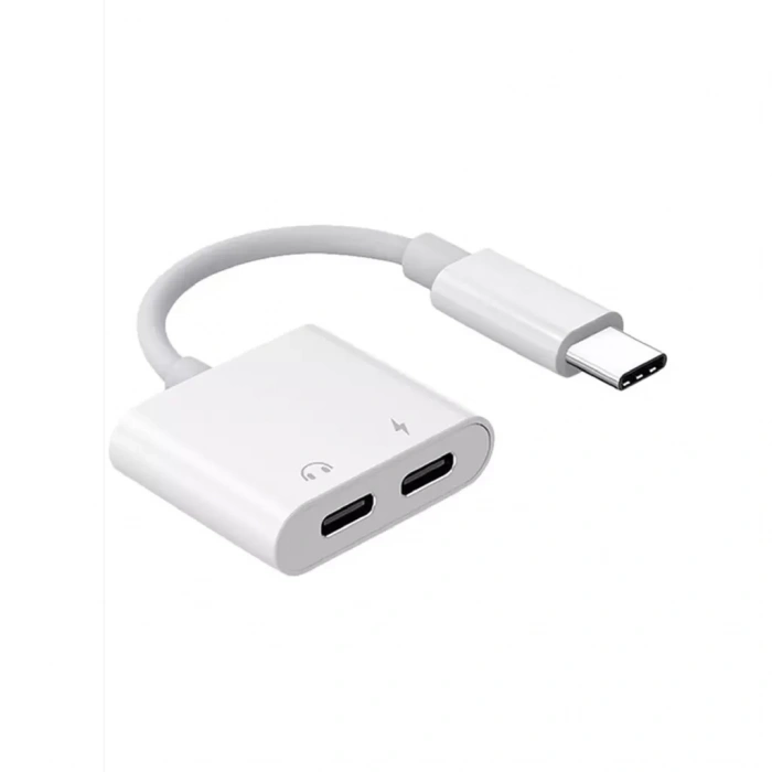 ZR293 Ftac42 Type-C 2 İn 1 Converter Adaptör