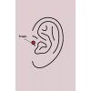 316L Çelik Gümüş Renk Mor Kelebek Model Tragus Piercing - TJ-PR1287