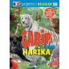 3D Şaşırtıcı Biiler - Garip Ama Harika