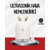 USLUCAN ALIŞVERİŞ El Tipi USB Mini Soğuk Mist Nemlendirici 220 ml Tank