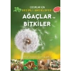 Ağaçlar ve ler