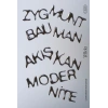 Akışkan Modernite