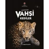 AnadoluDaki Vahşi Kediler