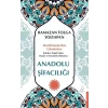 Anadolu Şifacılığı