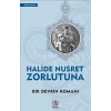 Bir Devrin Romanı