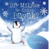 Bir Milyon Ne Kadar Büyük? (Sünger Kapaklı)
