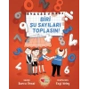 Biri Şu Sayıları Toplasın