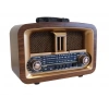 Bluetooth Usb/Sd/Aux/Fm Nostalji Radyo RT-876