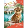 Dostluk Ormanı 11 Tarçın Zarifpatinin Sırrı