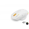 Dual Mode Kablosuz Gaming Mouse 12800 Dpi 7 Tuş Makro 1000Hz Rgb - Beyaz W601W