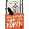 Hayal Kurmaya Cesaret Eden Köpek