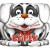 Hayvanlar Aleminin En Sadığı: Köpek