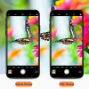 iPhone 11 Yüksek Çözünürlüklü Kamera Lens Koruma Camı-(5775)