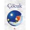 Kağıt Çuk