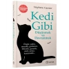 Kedi Gibi Düşünmek ve Dranmak