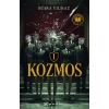 Kozmos 1: Arı ı ve Sinek
