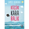 Küçük Kara Balık