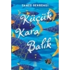 Küçük Kara Balık