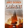 Labirent: Seçilmişlerin Mirası