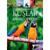 Meraklı Çuklar İçin Kuşlar Ansiklopedisi