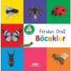 Minik larım – Böcekler