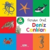 Minik larım – Deniz Canlıları