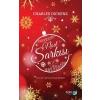 Noel Şarkısı
