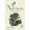 Nur Dede