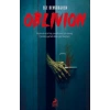 Oblivion - Karanlık İstila