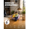 Okuyan Çift Figürlü Dekoratif Gece Lambası Hediye Seçeneği