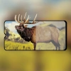 OPPO A9/A5 (2020) 3D Full Glue Tempered Cam Ekran Koruyucu-(5775)