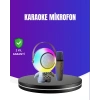 RGB Işıklı Astronot Bluetooth Hoparlör Karaoke Mikrofonlu